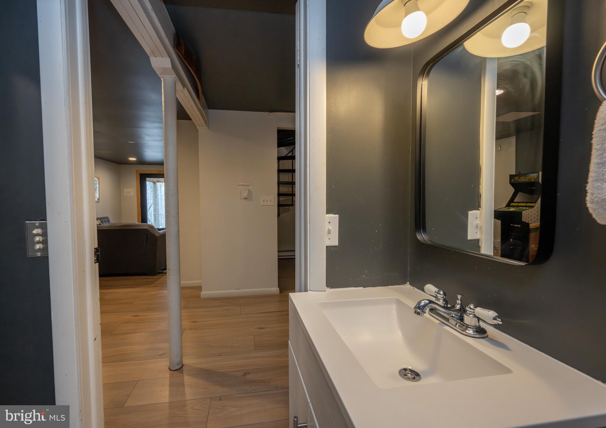 527 Deer Run Lane Swanton, MD 21561 - Photo 40 of 51 a bathroom with a sink and mirror
