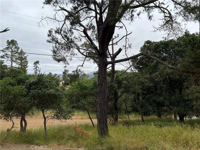 a view of backyard with green space