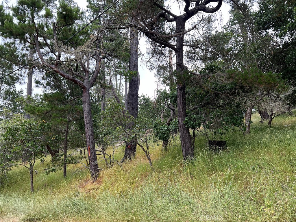 0 Norton Lane Cambria, CA 93428 - Photo 6 of 12