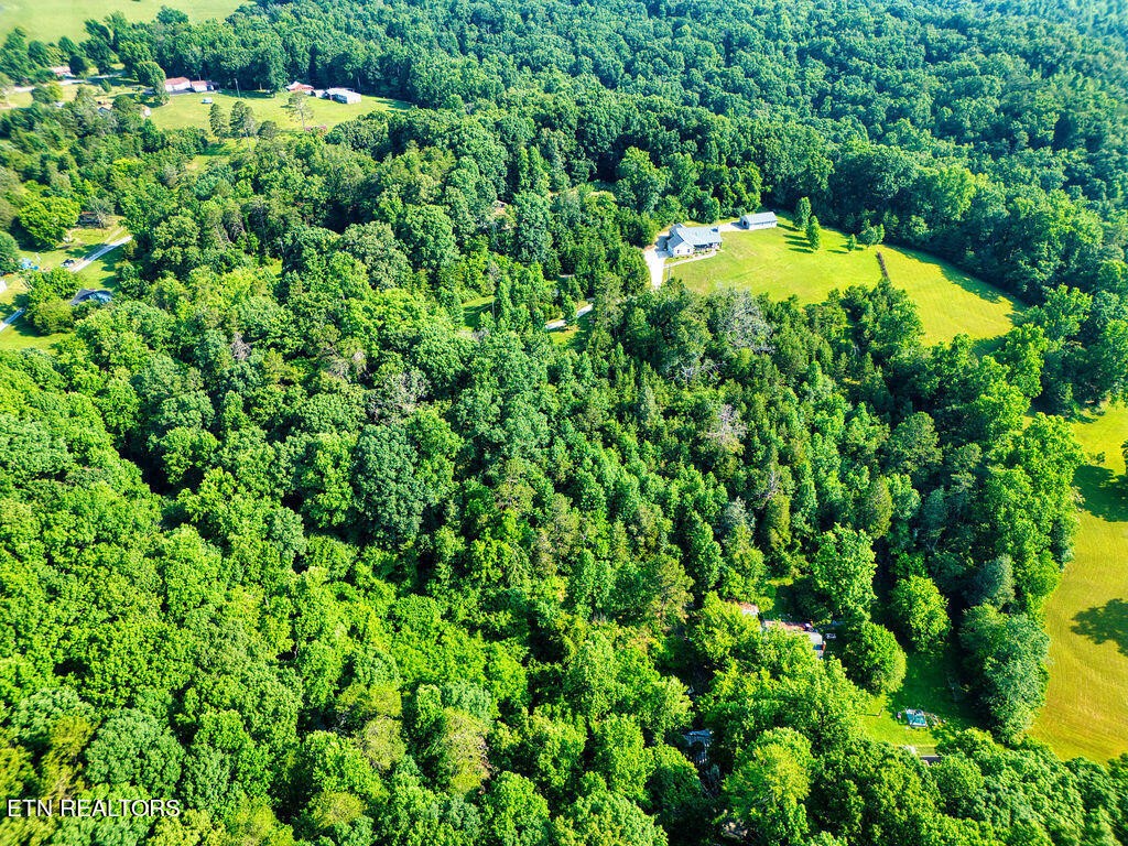 9760 Chestnut Ridge Road Heiskell, TN 37754 - Photo 47 of 59 a view of a garden