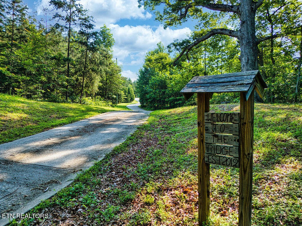 9760 Chestnut Ridge Road Heiskell, TN 37754 - Photo 50 of 59 a view of a backyard with plants