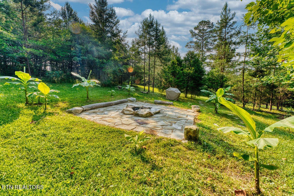 9760 Chestnut Ridge Road Heiskell, TN 37754 - Photo 52 of 59