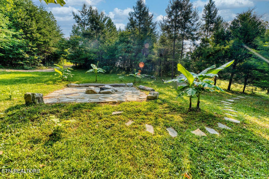 9760 Chestnut Ridge Road Heiskell, TN 37754 - Photo 53 of 59