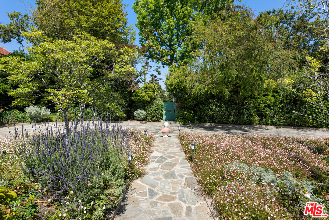 a view of a yard with plants and large trees