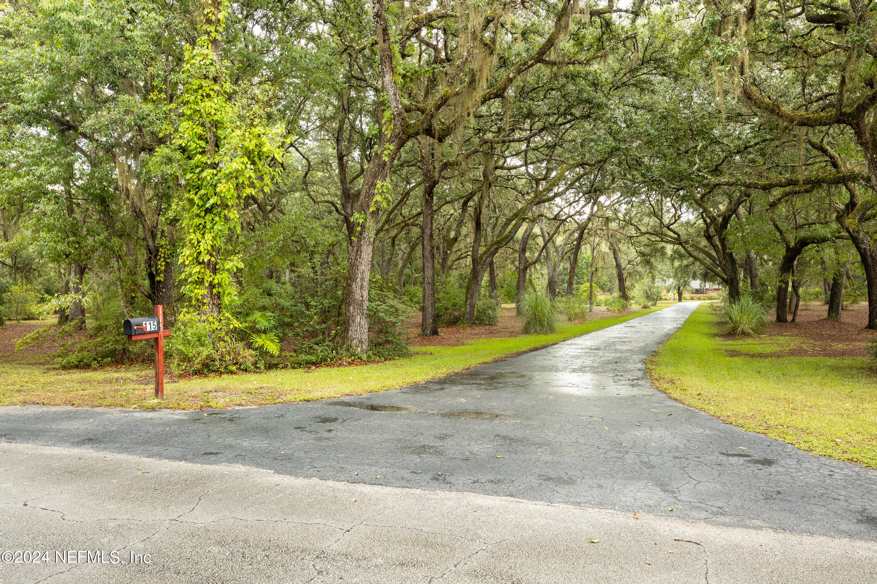 115 Wilkinson Road Palatka, FL 32177 - Photo 65 of 67 Driveway to Property