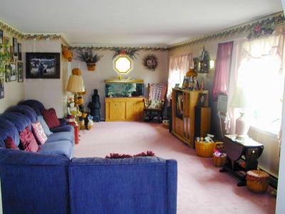 319 Keystone Street Slatington, PA 18080 - Photo 2 of 7 Large bright living room.