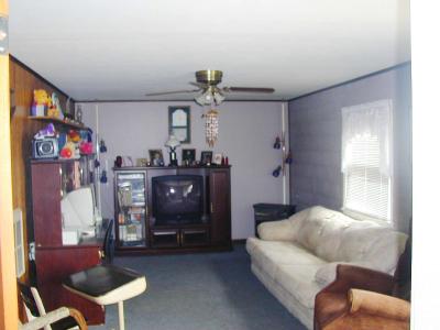 319 Keystone Street Slatington, PA 18080 - Photo 4 of 7 Bright lower level family room