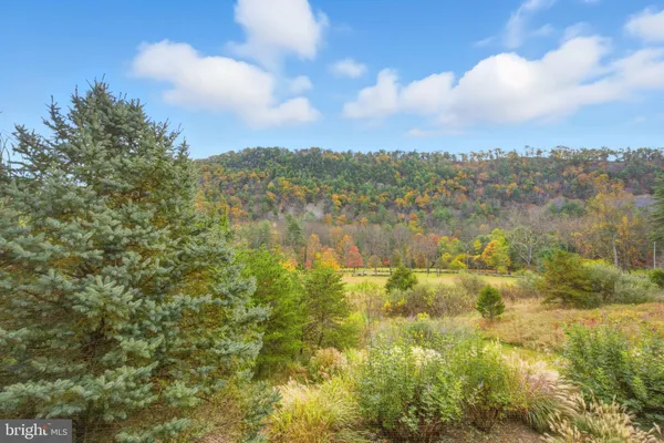 $890,000 | 767 Twin Flower Lane, Capon Bridge, WV 26711
