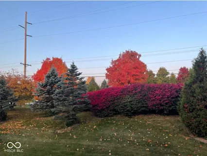 $749,900 | 6532 Briarwood Place, Zionsville, IN 46077