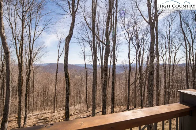 a view of a backyard with trees