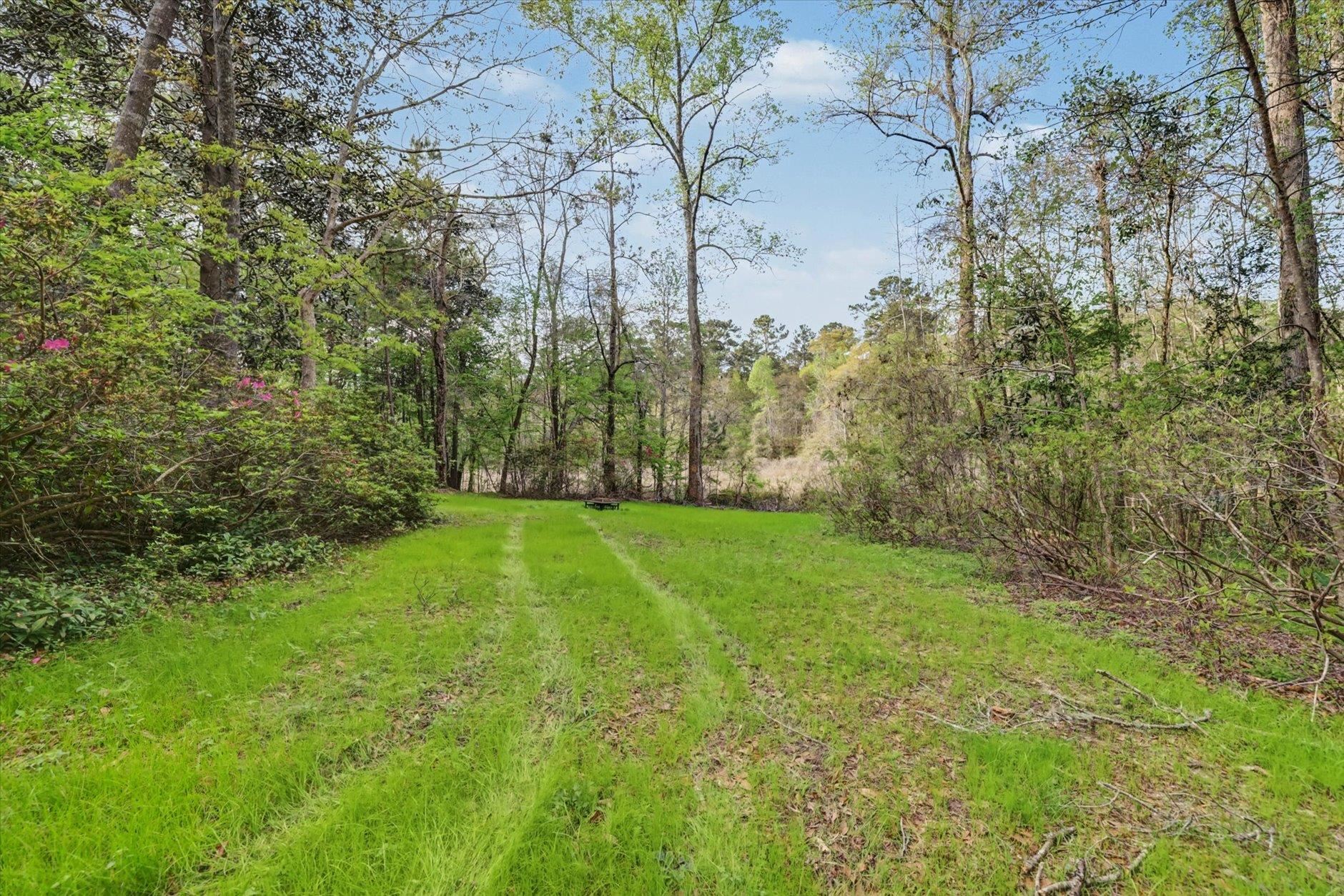 439 Beaver Lake Road Tallahassee, FL 32312 - Photo 61 of 70