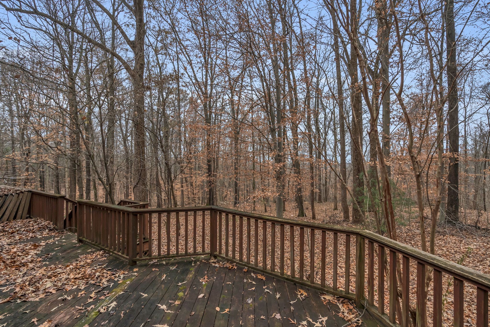 3625 Sweethome Road Ashland City, TN 37015 - Photo 40 of 44 Gallery Image 40
