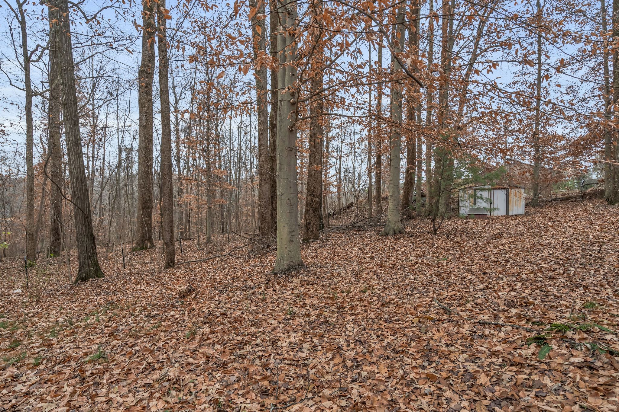 3625 Sweethome Road Ashland City, TN 37015 - Photo 43 of 44 Gallery Image 43