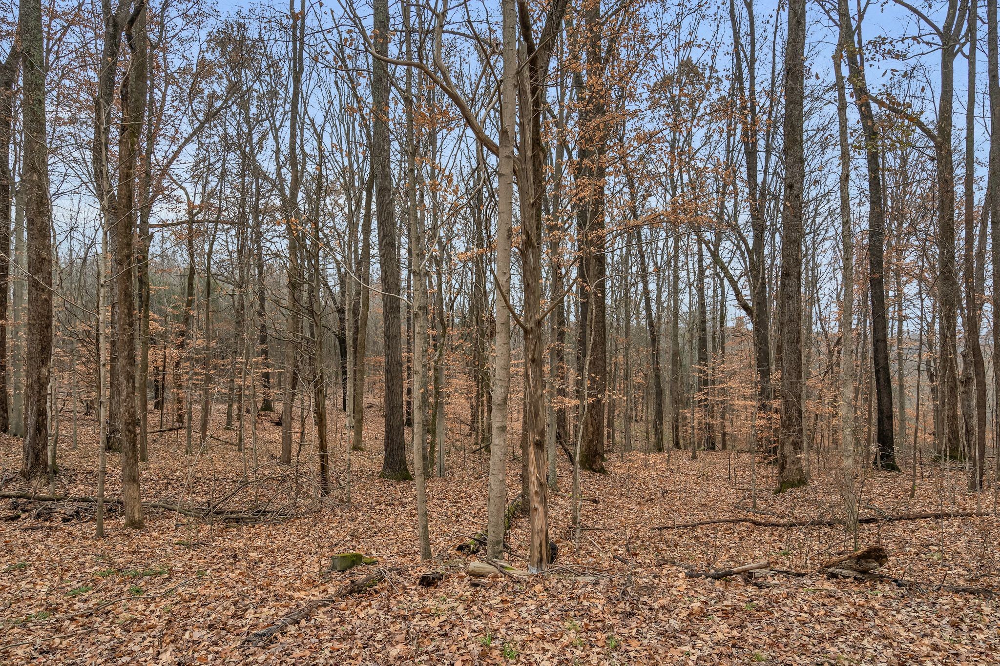 3625 Sweethome Road Ashland City, TN 37015 - Photo 44 of 44 Gallery Image 44