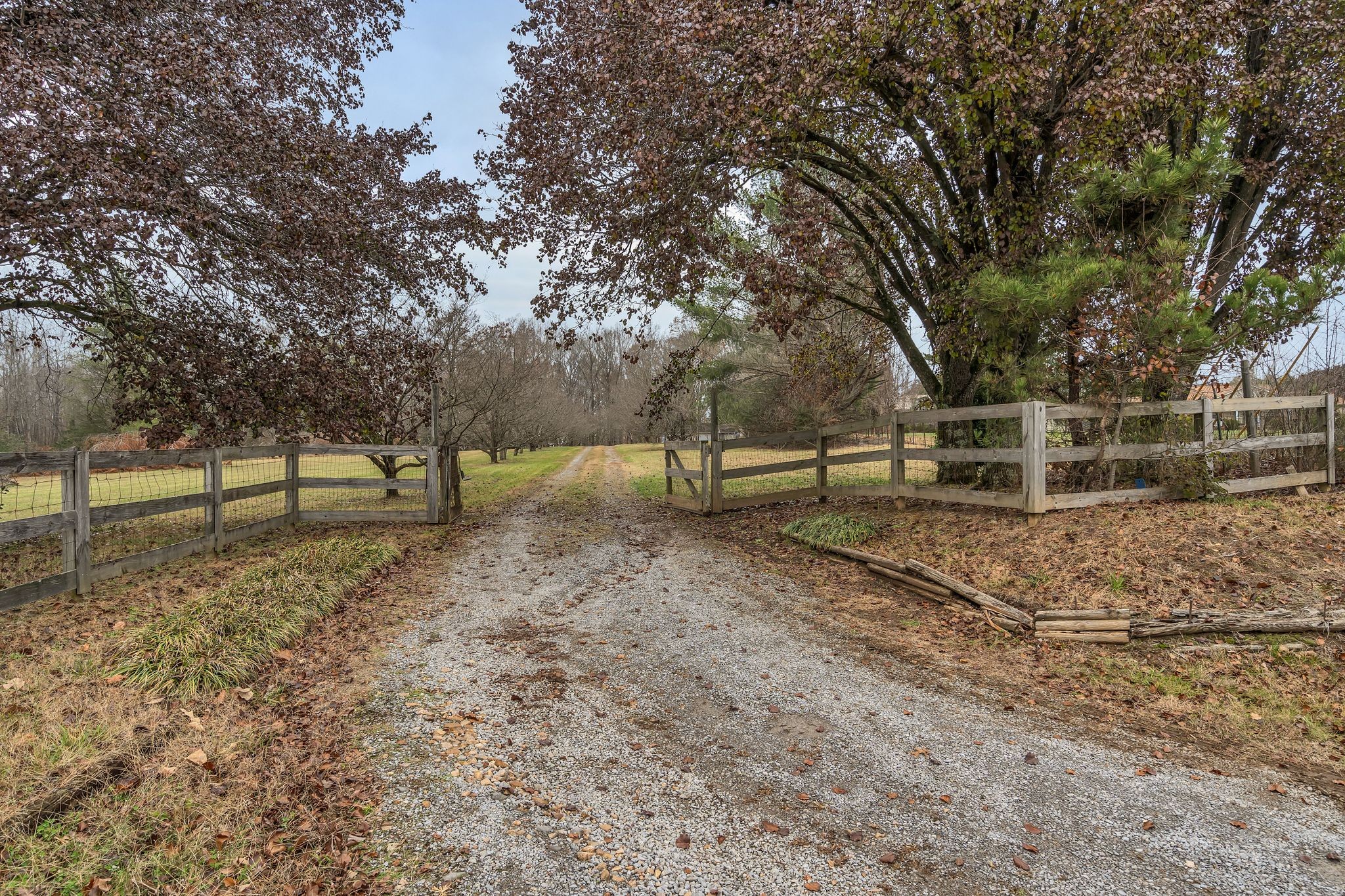 3625 Sweethome Road Ashland City, TN 37015 - Photo 5 of 44 Gallery Image 5