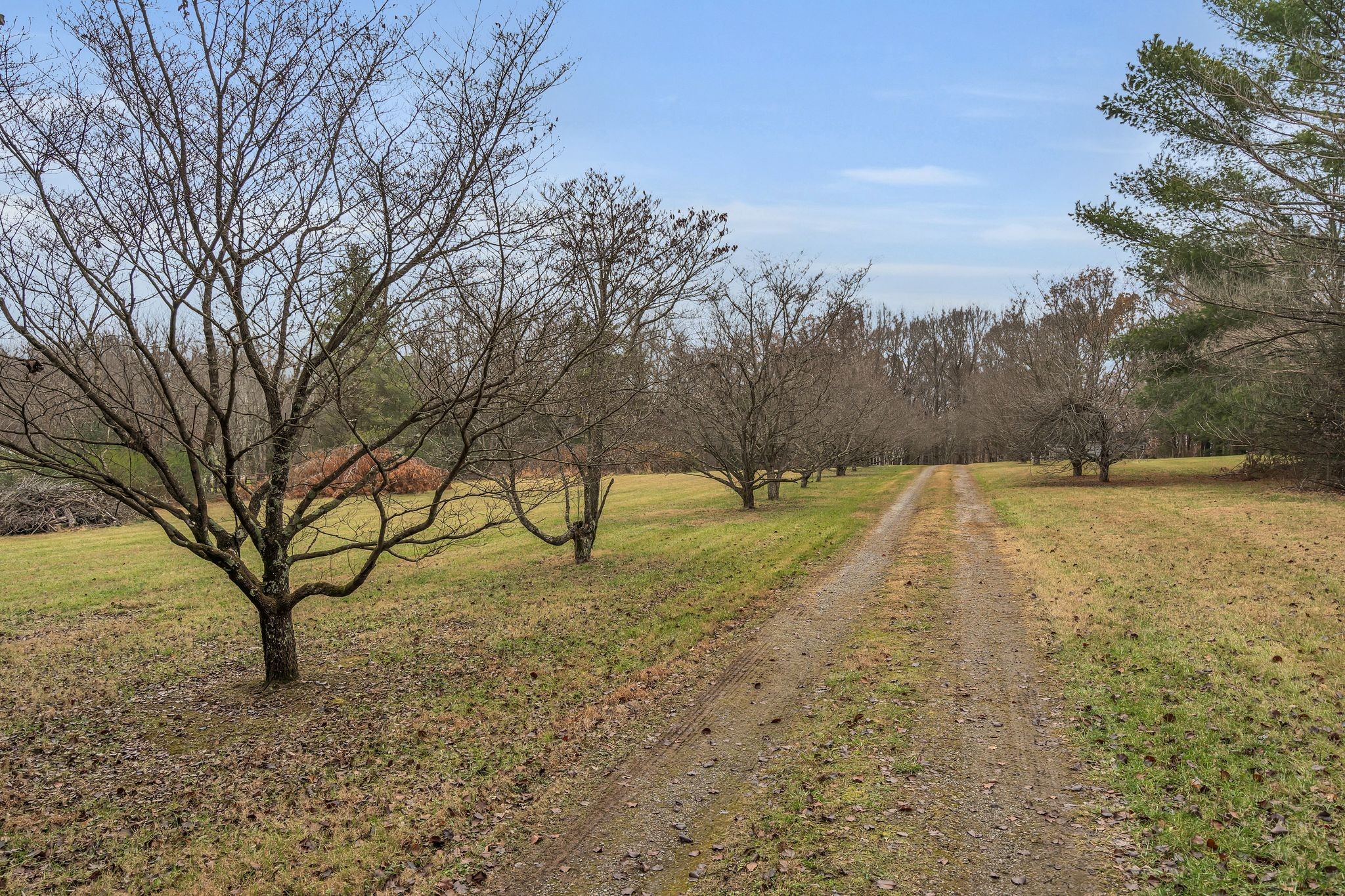 3625 Sweethome Road Ashland City, TN 37015 - Photo 6 of 44 Gallery Image 6