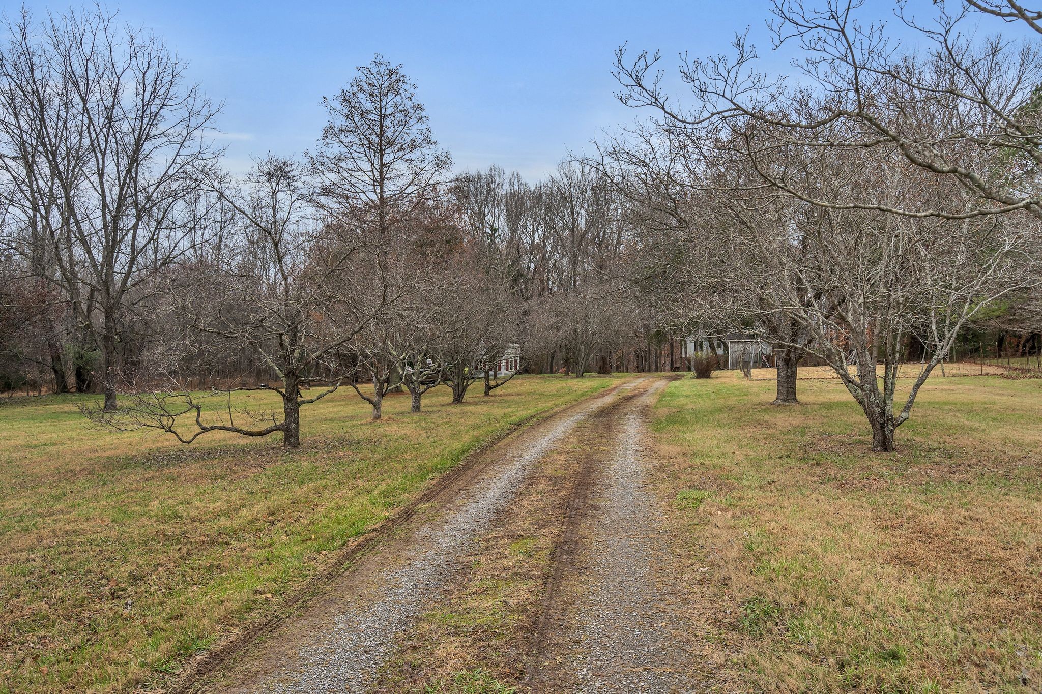 3625 Sweethome Road Ashland City, TN 37015 - Photo 7 of 44 Gallery Image 7