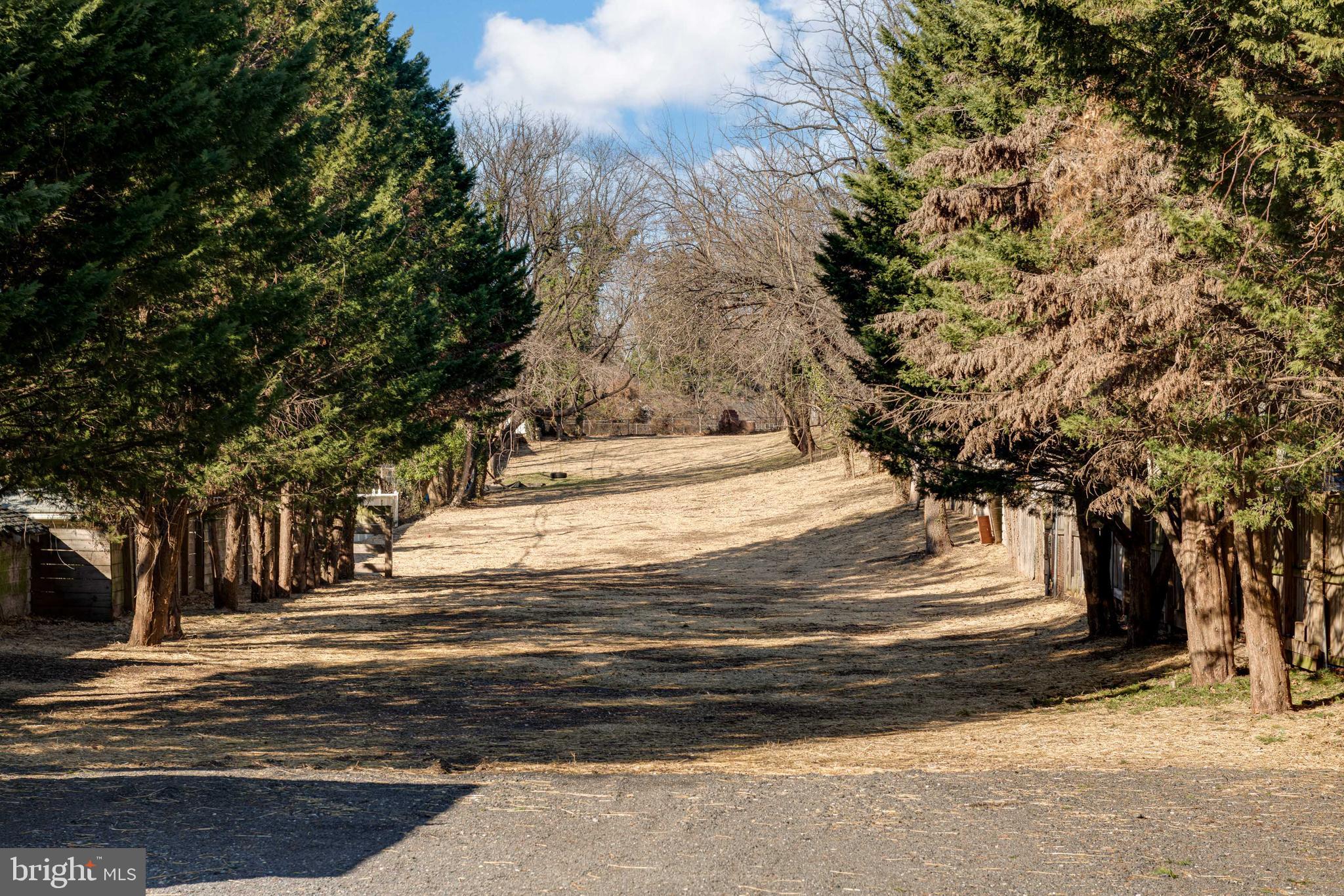 4906 Harford Road Baltimore, MD 21214 - Photo 13 of 31 a view of road with trees