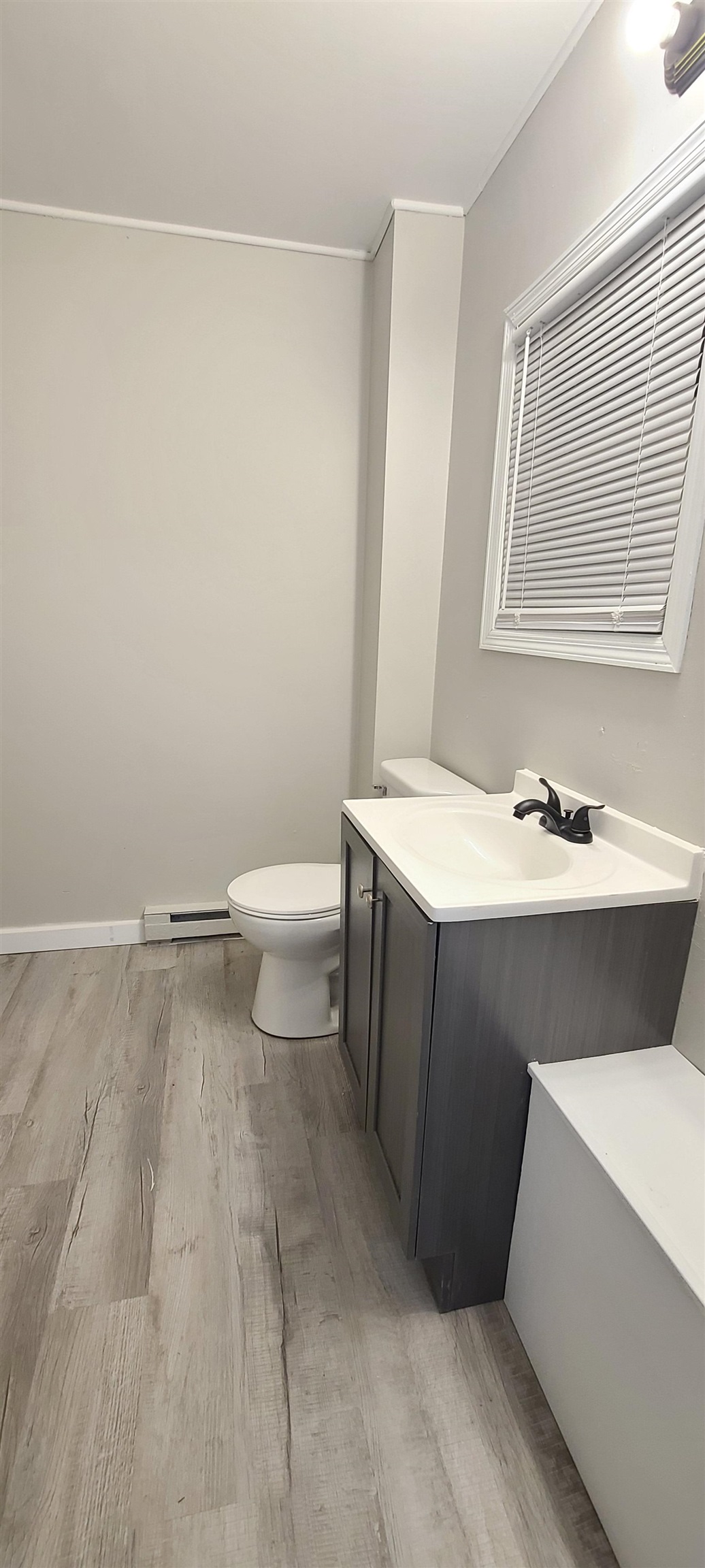 894 Bend Road Dixon, IL 61021 - Photo 5 of 23 a bathroom with a sink vanity and toilet
