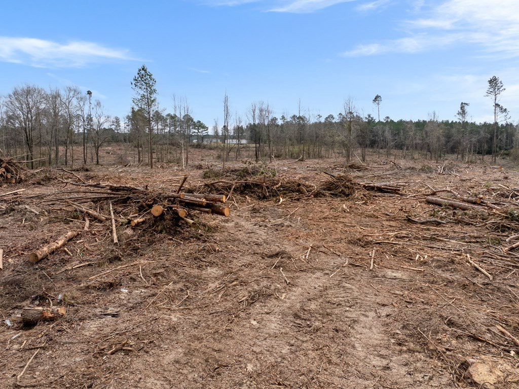 3 Fulgham Road Tylertown, MS 39667 - Photo 11 of 13 Photo 11