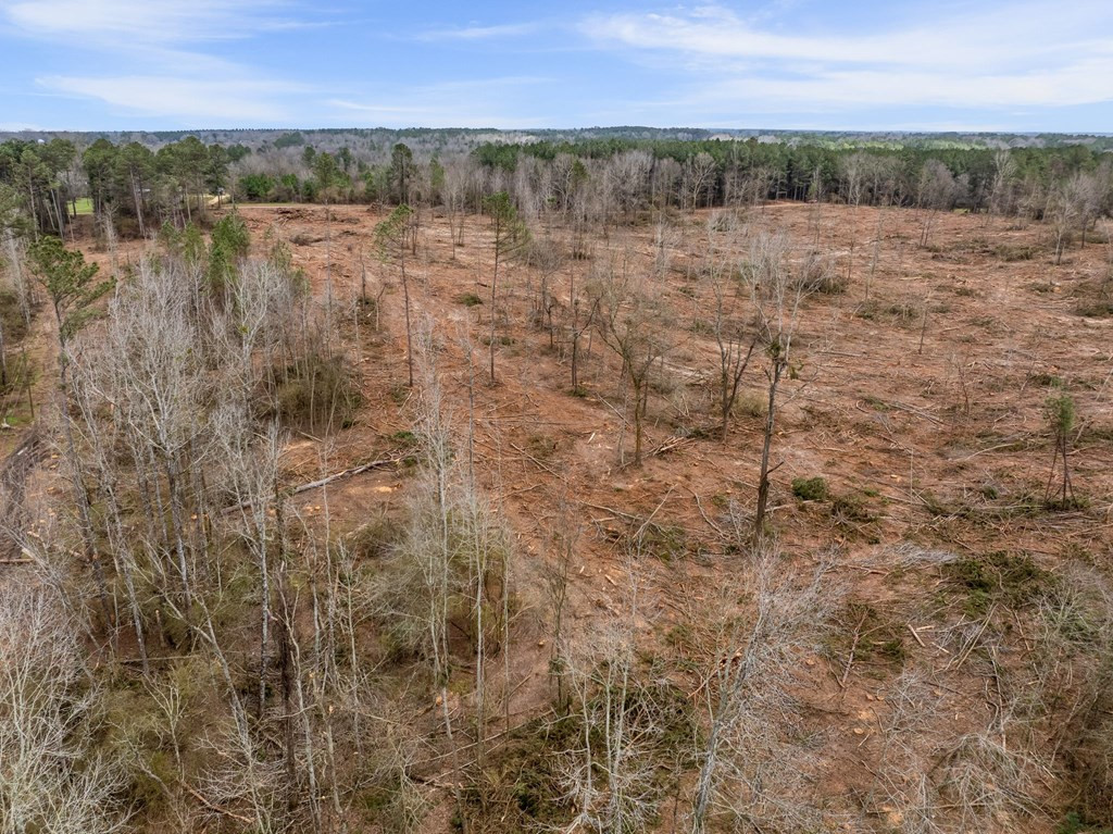 3 Fulgham Road Tylertown, MS 39667 - Photo 12 of 13 Photo 12