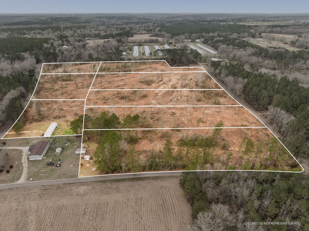 3 Fulgham Road Tylertown, MS 39667 - Photo 4 of 13 Photo 4