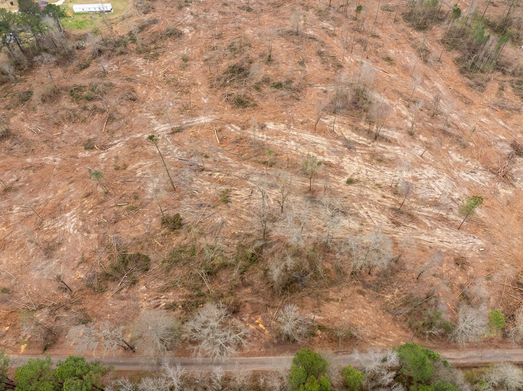 3 Fulgham Road Tylertown, MS 39667 - Photo 6 of 13 Photo 6