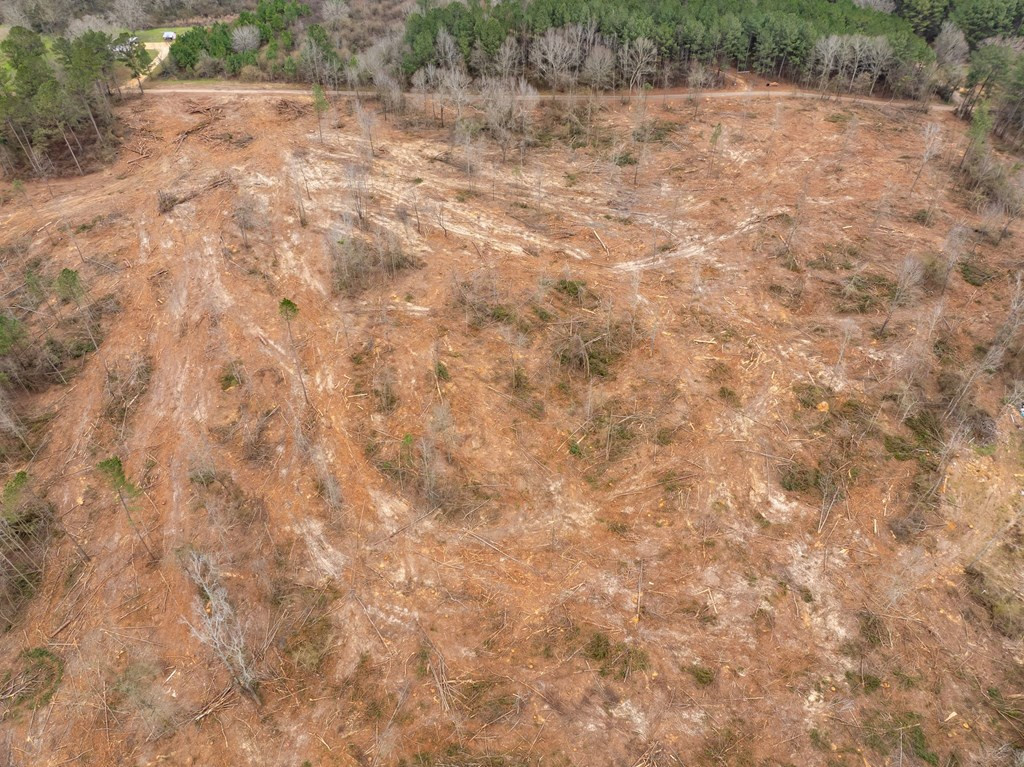 3 Fulgham Road Tylertown, MS 39667 - Photo 7 of 13 Photo 7