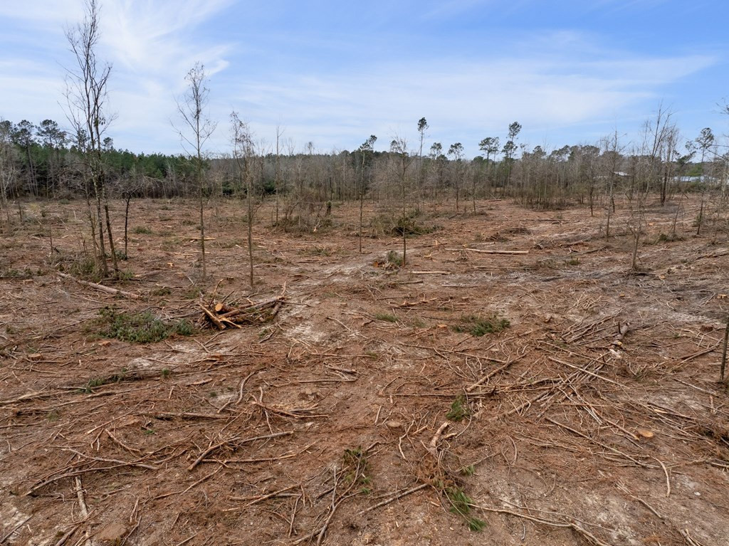 3 Fulgham Road Tylertown, MS 39667 - Photo 10 of 13 Photo 10