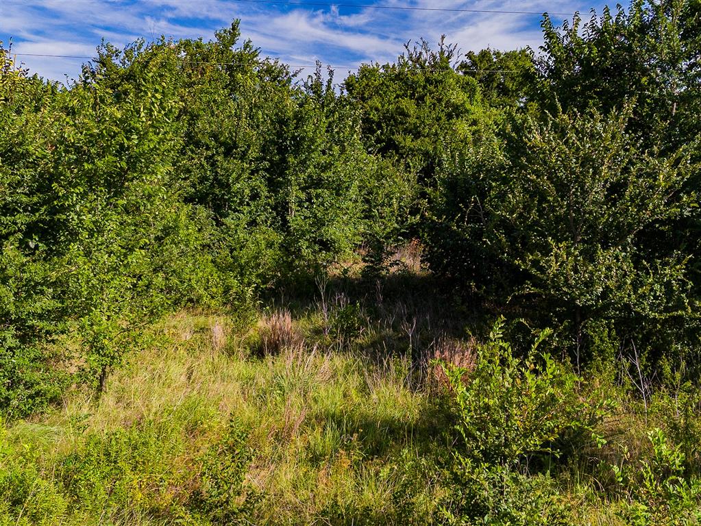 5830 Co Road Terrell, TX 75160 - Photo 10 of 11