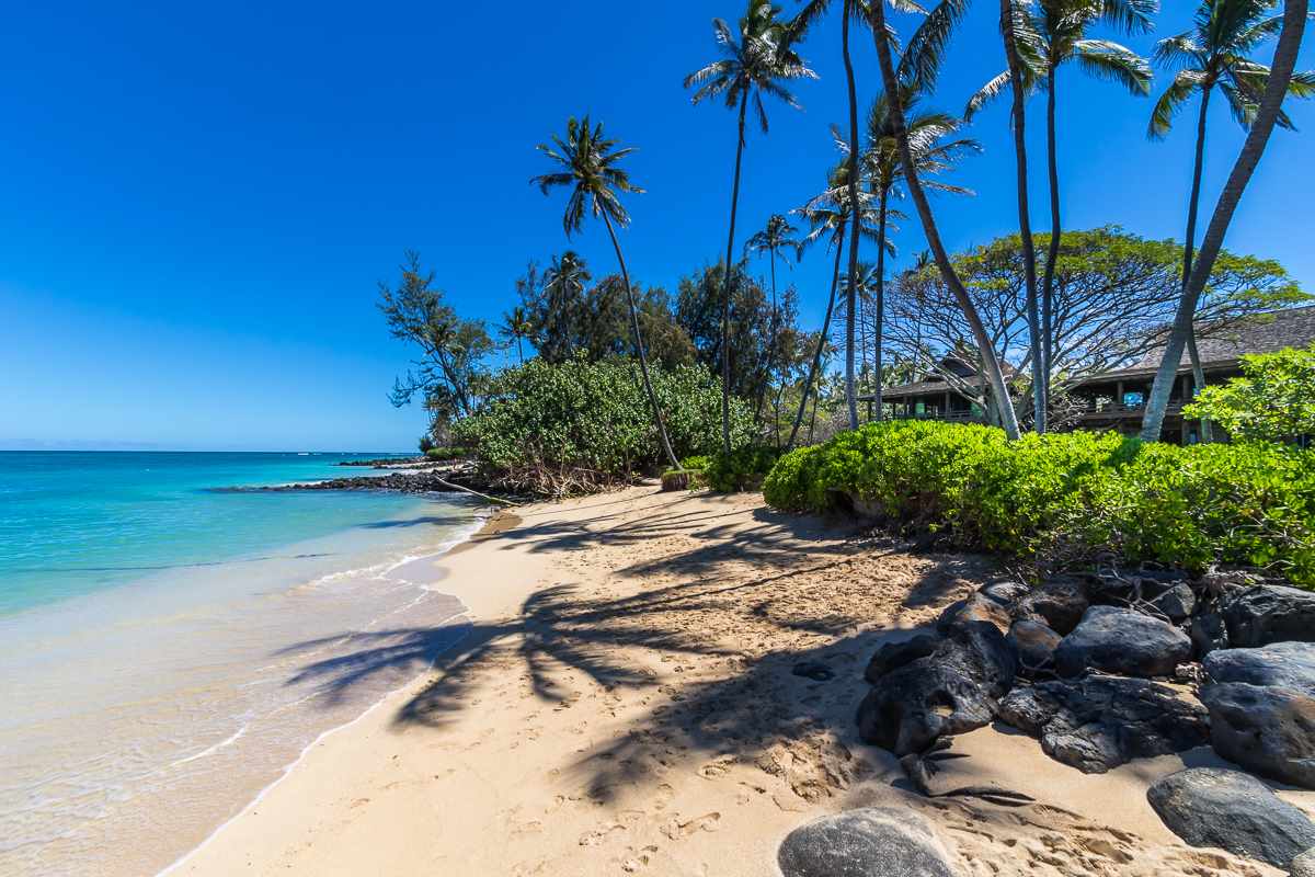 600 Stable Road Paia, HI 96779 - Photo 27 of 30 a view of a backyard