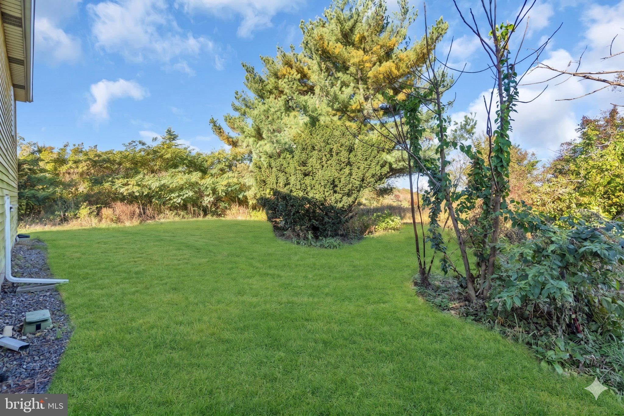 76 Rockville Road Bridgeton, NJ 08302 - Photo 3 of 5 Lush green yard with serene backdrop.