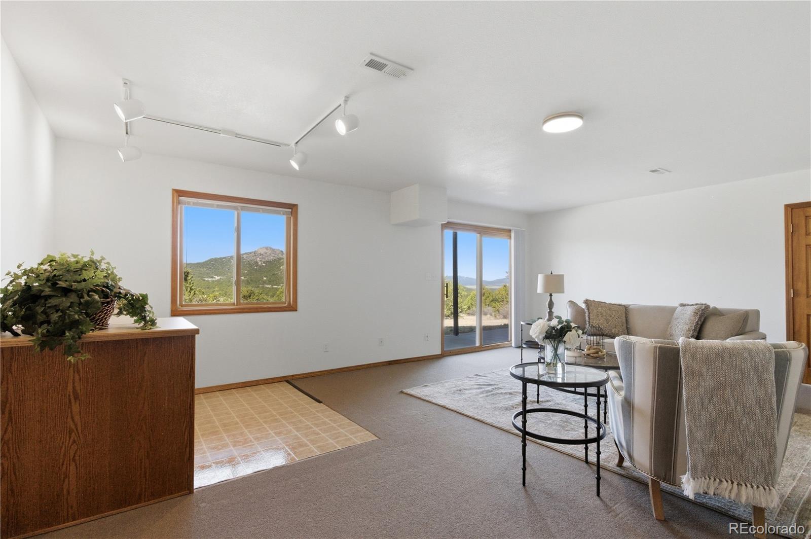 90 Riggs Road Westcliffe, CO 81252 - Photo 21 of 35 a living room with furniture and a potted plant