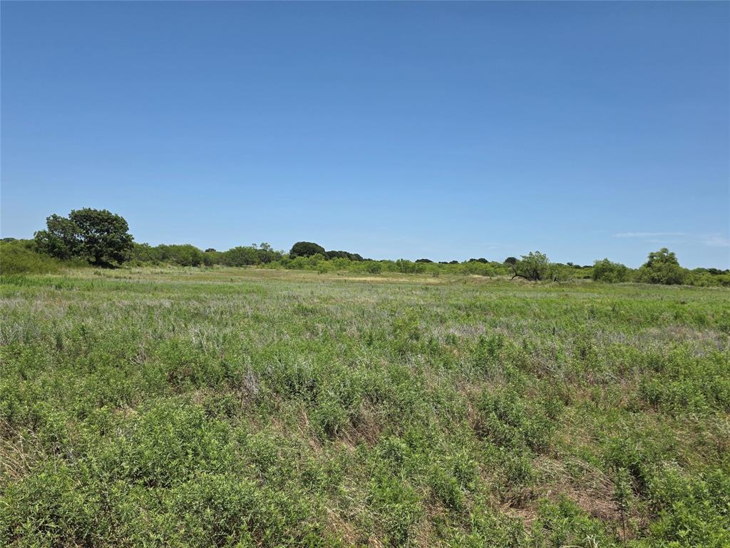 1000 County Road 375 Rising Star, TX 76471 - Photo 21 of 40