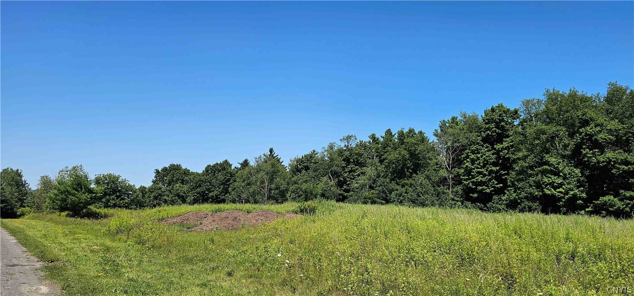 Ferguson Road Dryden, NY 13053 - Photo 10 of 19 Gallery Image 10
