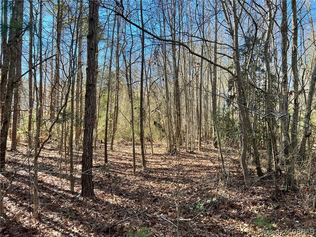 Lot 27 Twin Branch Road Lancaster, VA 22503 - Photo 3 of 7
