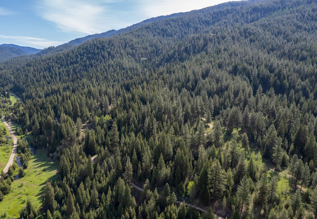 42 Clear Creek Road Cascade, ID 83611 - Photo 2 of 8