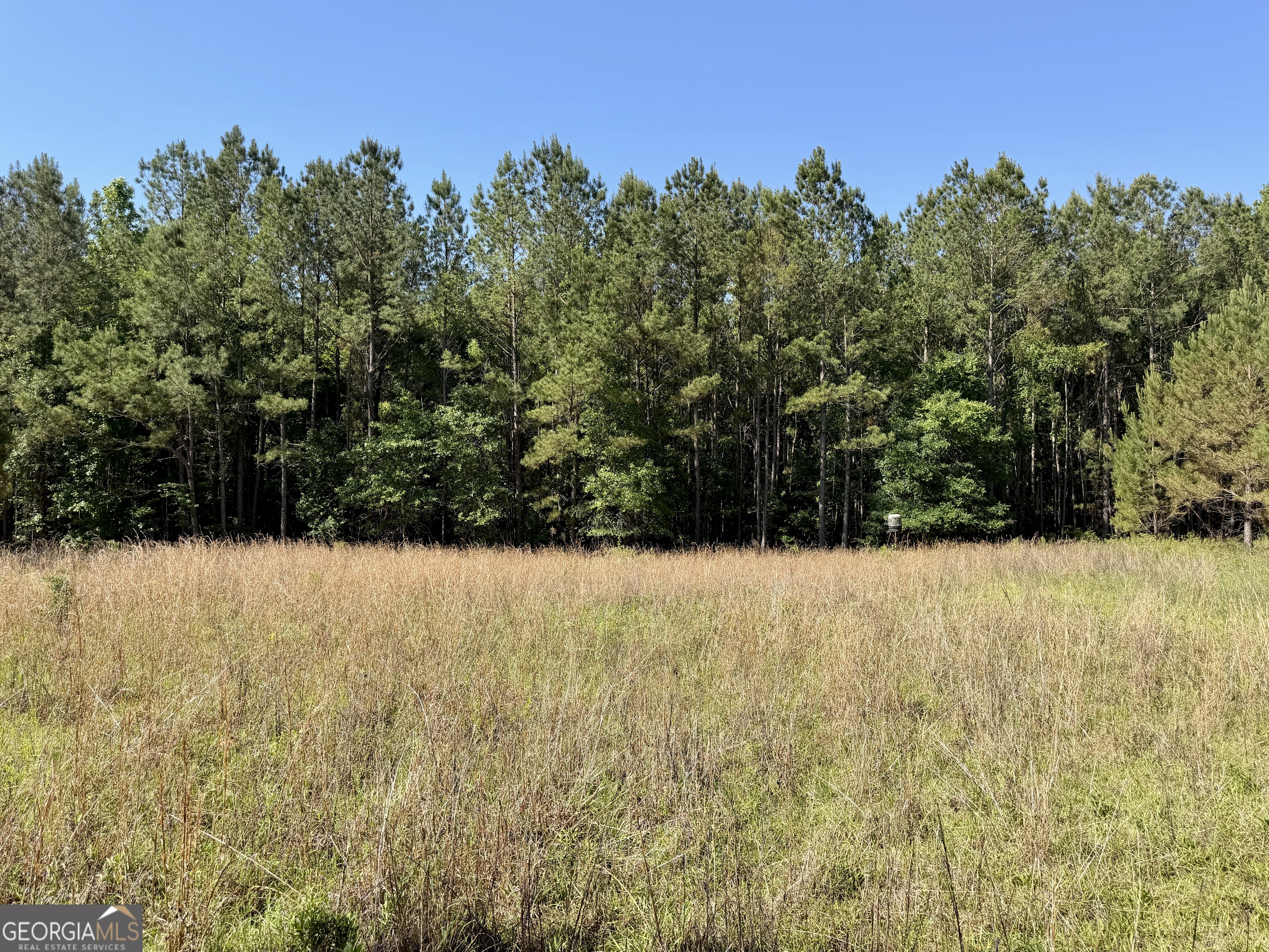 769 Mt Olive Church Road Eastman, GA 31023 - Photo 7 of 68