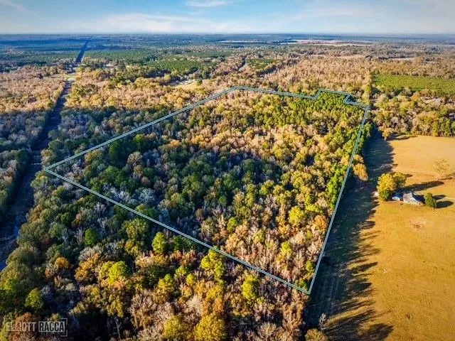 $425,000 | 0 107th Hwy Center Point, Center Point, LA 71323