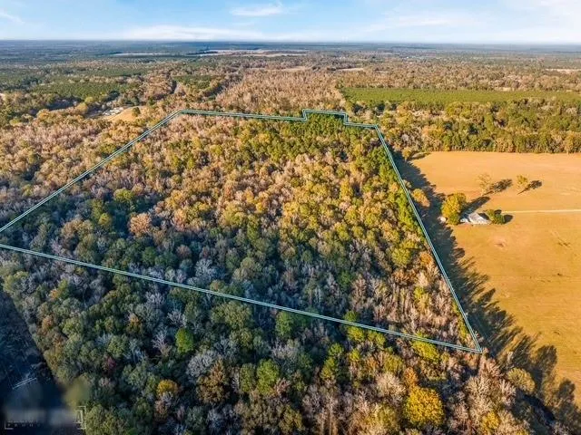 $425,000 | 0 107th Hwy Center Point, Center Point, LA 71323