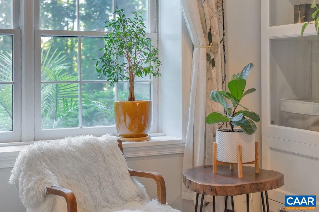 1436 Minor Ridge Court Charlottesville, VA 22901 - Photo 19 of 59 a living room with furniture and a potted plant
