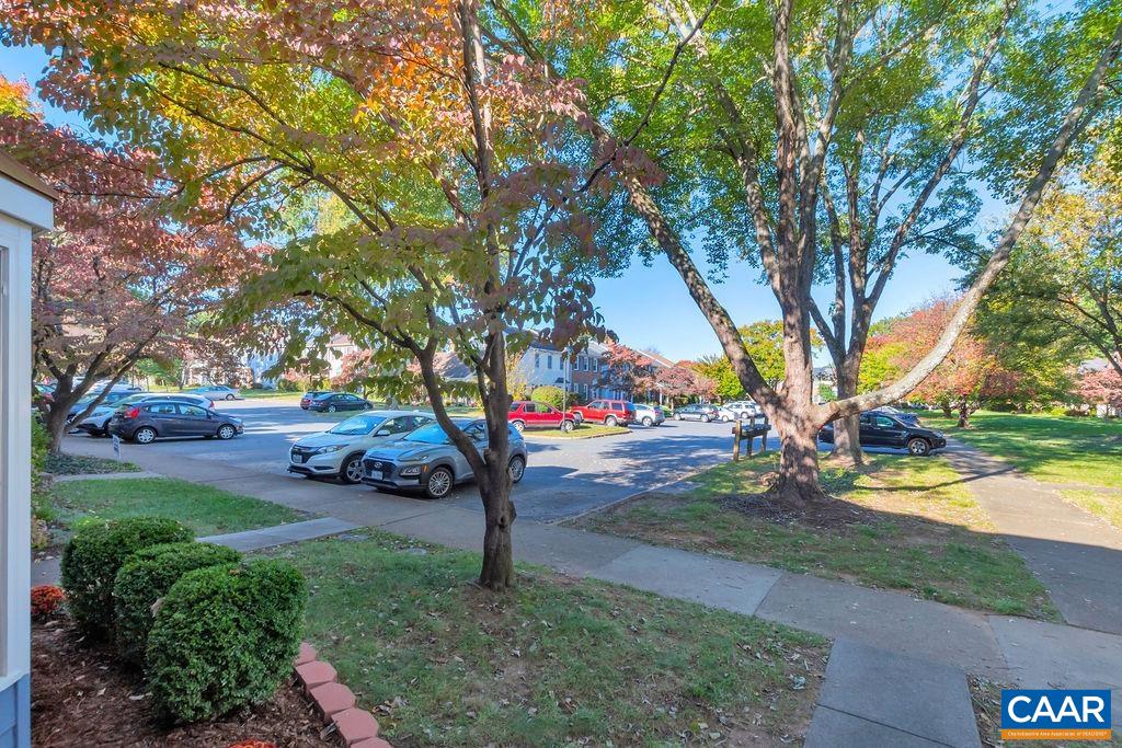 1436 Minor Ridge Court Charlottesville, VA 22901 - Photo 44 of 59 a view of a park with tree s