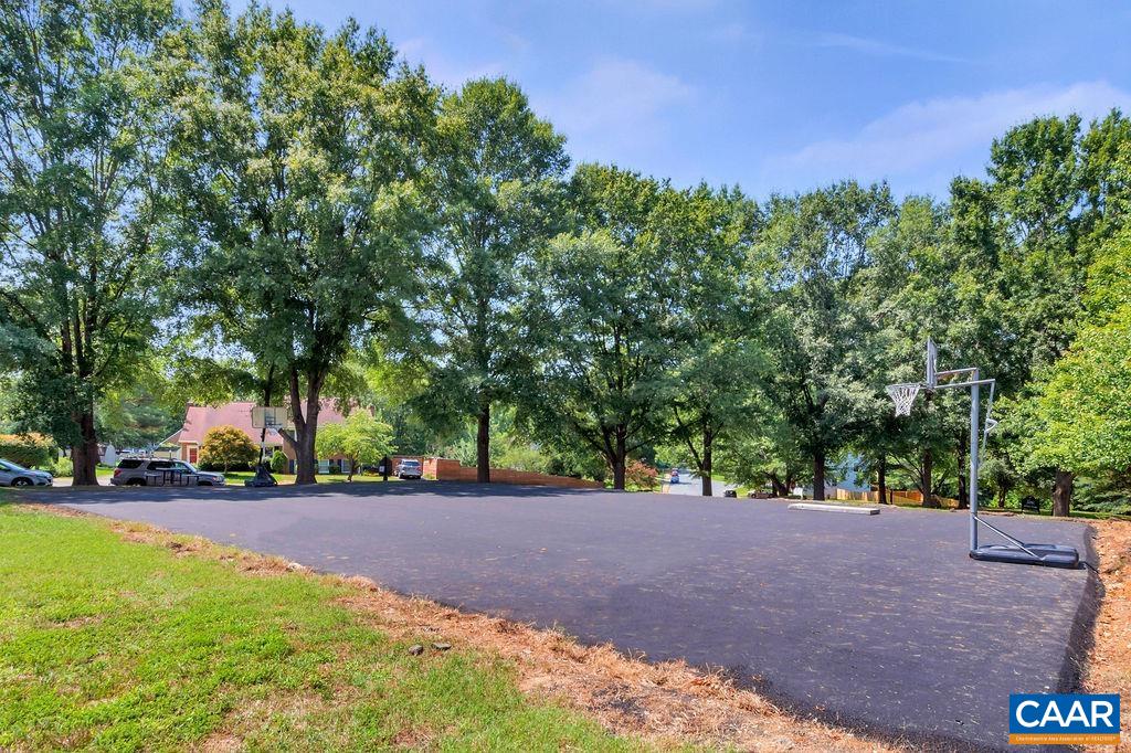 1436 Minor Ridge Court Charlottesville, VA 22901 - Photo 52 of 59 a view of road with trees
