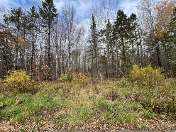 $58,000 | Xxx Deer Lake Road, Exeland, WI 54835