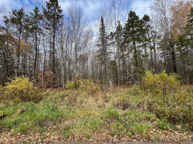 $67,000 | Xxx Deer Lake Road, Exeland, WI 54835