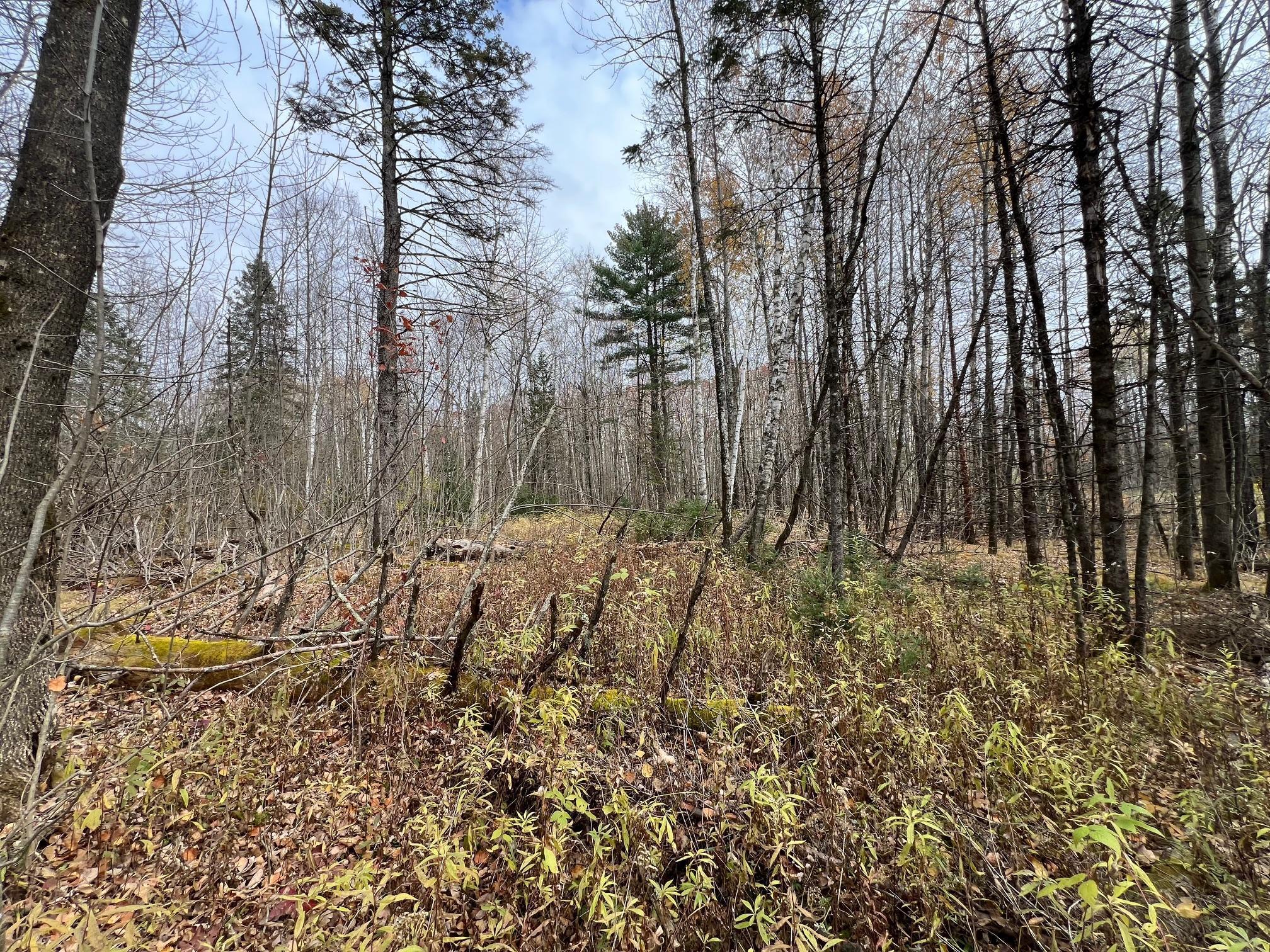 Xxx Deer Lake Road Exeland, WI 54835 - Photo 2 of 4