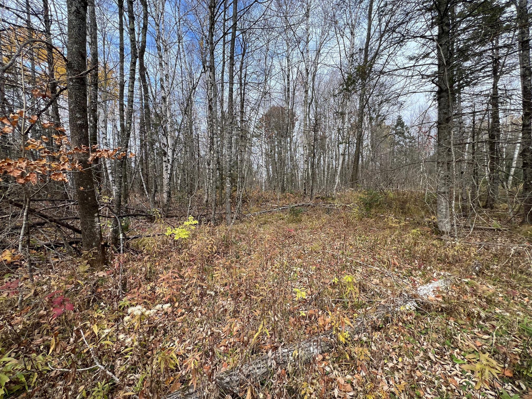 Xxx Deer Lake Road Exeland, WI 54835 - Photo 3 of 4