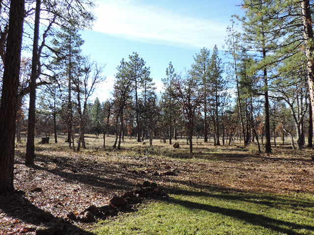 21544 Rattlebush Road Cassel, CA 96016 - Photo 14 of 50 DSCN7120