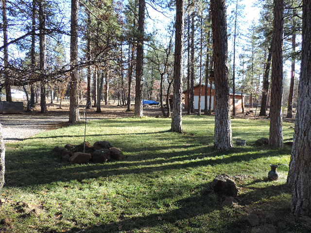 21544 Rattlebush Road Cassel, CA 96016 - Photo 18 of 50 DSCN7141