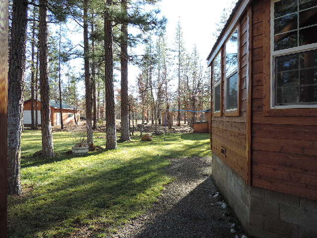 21544 Rattlebush Road Cassel, CA 96016 - Photo 19 of 50 DSCN7144
